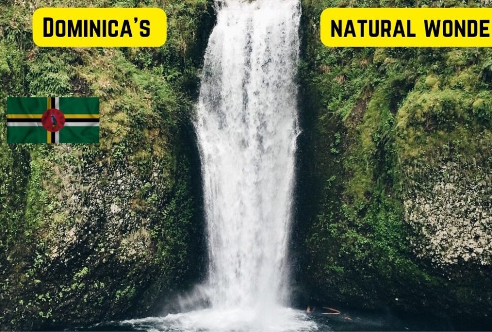 Things to do in Dominica , Dominica