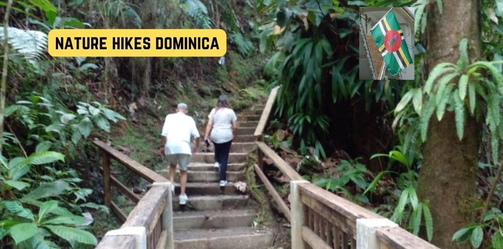 hiking in Dominica